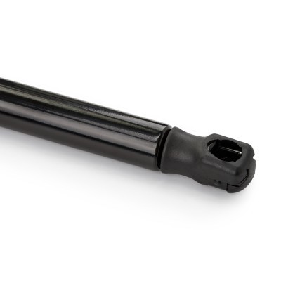 Bonnet  Gas Spring RIDEX 514G0012 514G0012 - photo 6