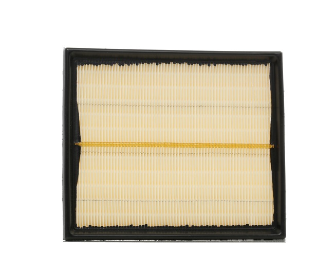 Air Filter RIDEX 8A0159 8A0159 - photo 1