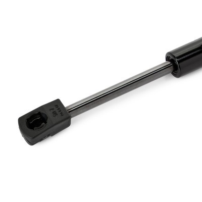 Bonnet  Gas Spring RIDEX 514G0179 514G0179 - photo 4
