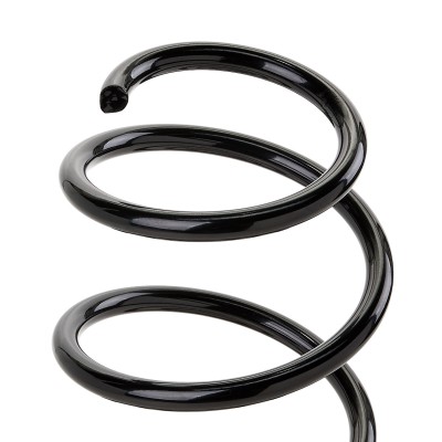Suspension Spring RIDEX 188C0029 188C0029 - photo 5