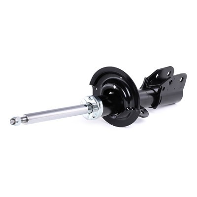 Shock Absorber RIDEX 854S0842 854S0842 - photo 4