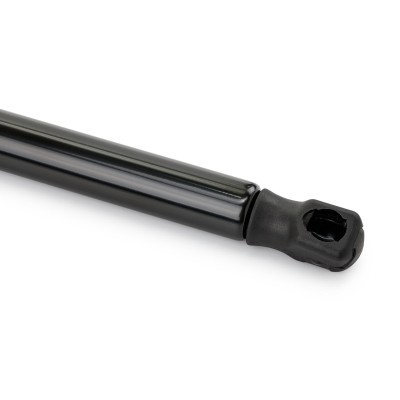 Bonnet  Gas Spring RIDEX 514G0024 514G0024 - photo 6