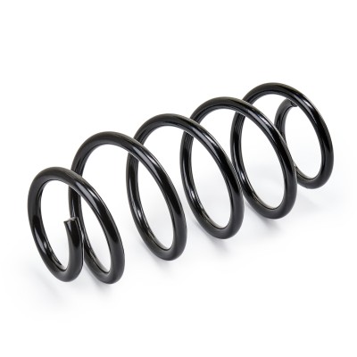 Suspension Spring RIDEX 188C0186 188C0186 - photo 4