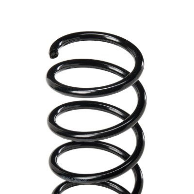 Suspension Spring RIDEX 188C0250 188C0250 - photo 4