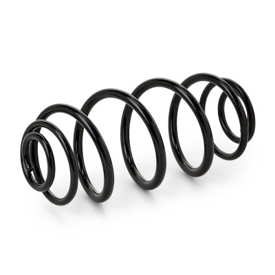 Suspension Spring RIDEX 188C0260 188C0260 - photo 6