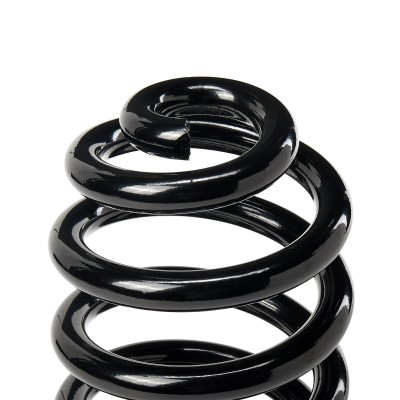 Suspension Spring RIDEX 188C0380 188C0380 - photo 4