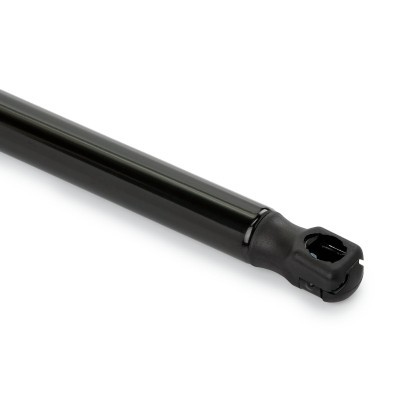 Bonnet  Gas Spring RIDEX 514G0206 514G0206 - photo 5