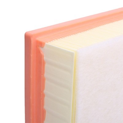 Air Filter RIDEX 8A0836 8A0836 - photo 5