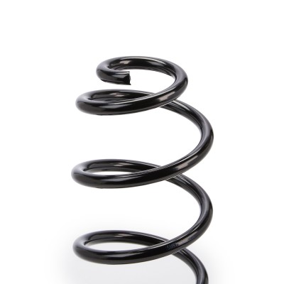 Suspension Spring RIDEX 188C0242 188C0242 - photo 7
