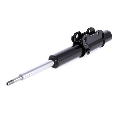 Shock Absorber RIDEX 854S0625 854S0625 - photo 4