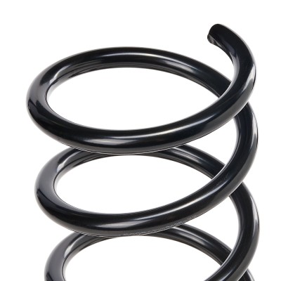Suspension Spring RIDEX 188C0551 188C0551 - photo 8
