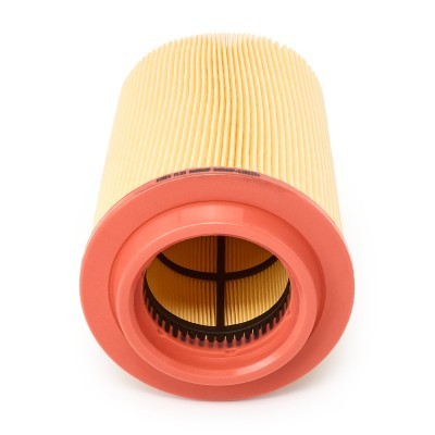 Air Filter RIDEX 8A0060P 8A0060P - photo 4