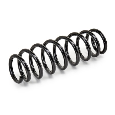 Suspension Spring RIDEX 188C0248 188C0248 - photo 6