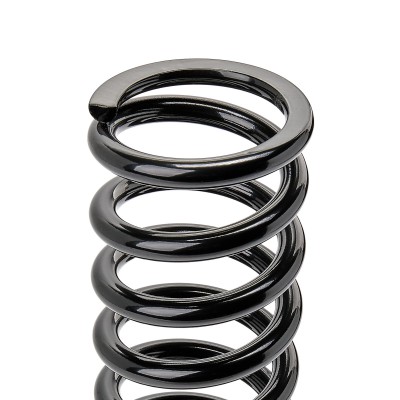 Suspension Spring RIDEX 188C0301 188C0301 - photo 8