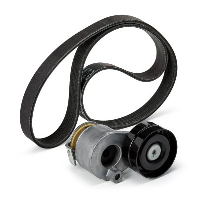 Drive Belt Kit RIDEX 542R0029P 542R0029P - photo 10