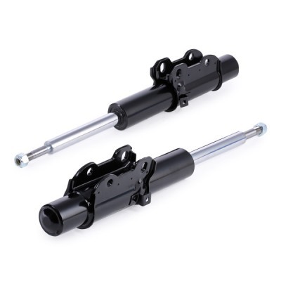 Shock Absorber RIDEX 854S1994 854S1994 - photo 3
