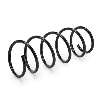 Suspension Spring RIDEX 188C0420 188C0420 - photo 5