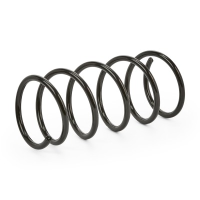 Suspension Spring RIDEX 188C0431 188C0431 - photo 6