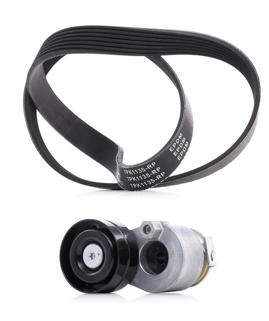 Drive Belt Kit RIDEX 542R0421P 542R0421P - photo 1