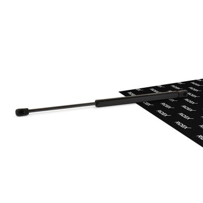 Bonnet  Gas Spring RIDEX 514G0053 514G0053 - photo 1