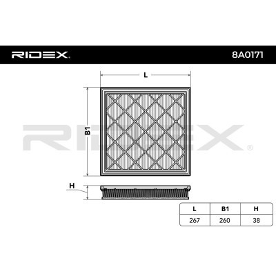 Air Filter RIDEX 8A0171 8A0171 - photo 6