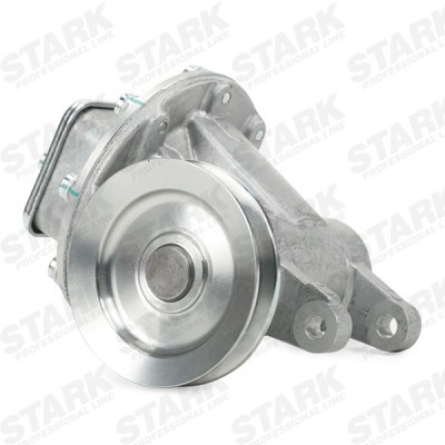 Vacuum Pump Stark SKVP-1350057 SKVP-1350057 - photo 5