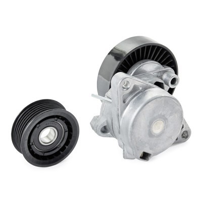 Drive Belt Kit RIDEX 542R0498P 542R0498P - photo 6
