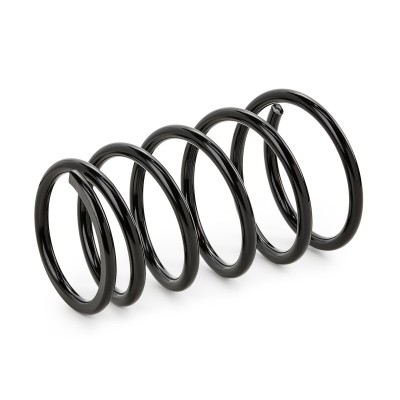 Suspension Spring RIDEX 188C0579 188C0579 - photo 6