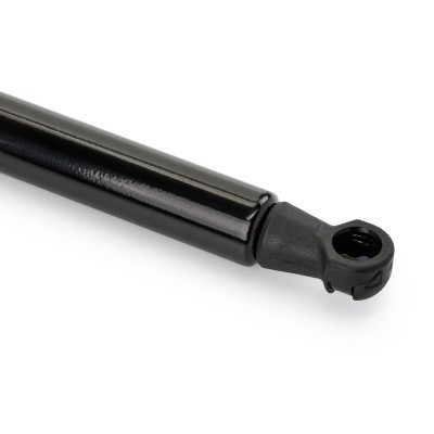 Bonnet  Gas Spring RIDEX 514G0025 514G0025 - photo 6