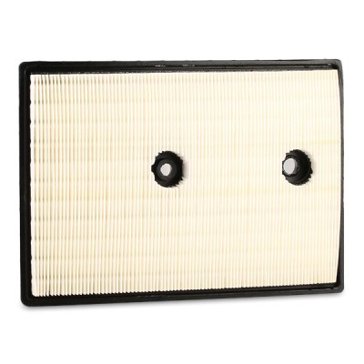 Air Filter RIDEX 8A0321 8A0321 - photo 9