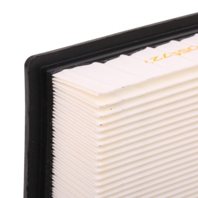 Air Filter RIDEX 8A0423 8A0423 - photo 5