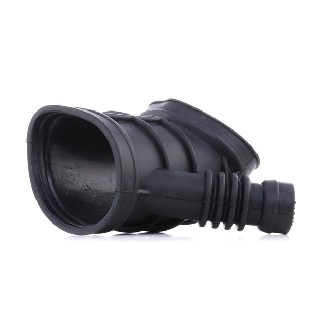 Air intake hose RIDEX 1591I0002 1591I0002 - photo 1