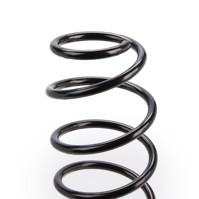 Suspension Spring RIDEX 188C0283 188C0283 - photo 8