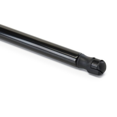 Bonnet  Gas Spring RIDEX 514G0207 514G0207 - photo 5