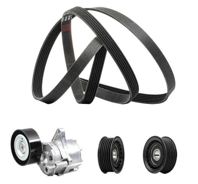 Drive Belt Kit RIDEX 542R0043P 542R0043P - photo 1