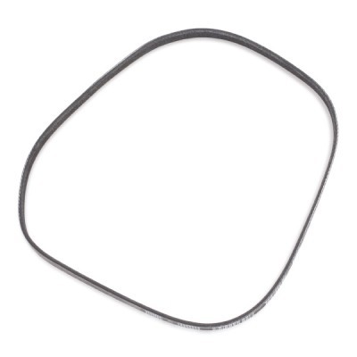 V-Belt RIDEX 305P0425P 305P0425P - photo 4