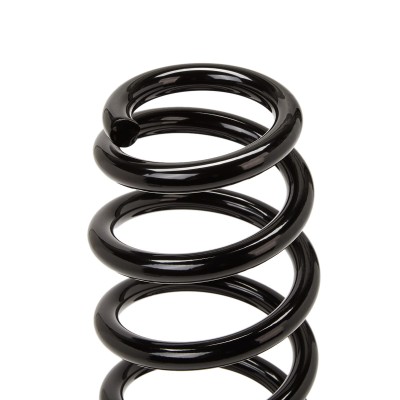 Suspension Spring RIDEX 188C0299 188C0299 - photo 4