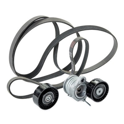 Drive Belt Kit RIDEX 542R0071P 542R0071P - photo 4