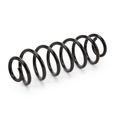 Suspension Spring RIDEX 188C0191 188C0191 - photo 6