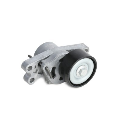 Drive Belt Kit RIDEX 542R0077 542R0077 - photo 4