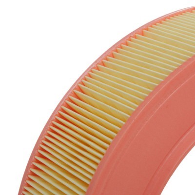 Air Filter RIDEX 8A0425 8A0425 - photo 5