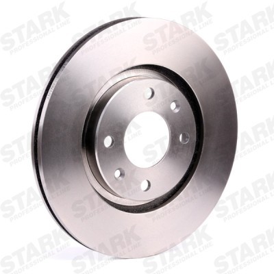 Brake Disc Stark SKBD-0022333 SKBD-0022333 - photo 3