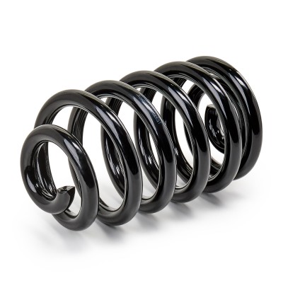 Suspension Spring RIDEX 188C0166 188C0166 - photo 4
