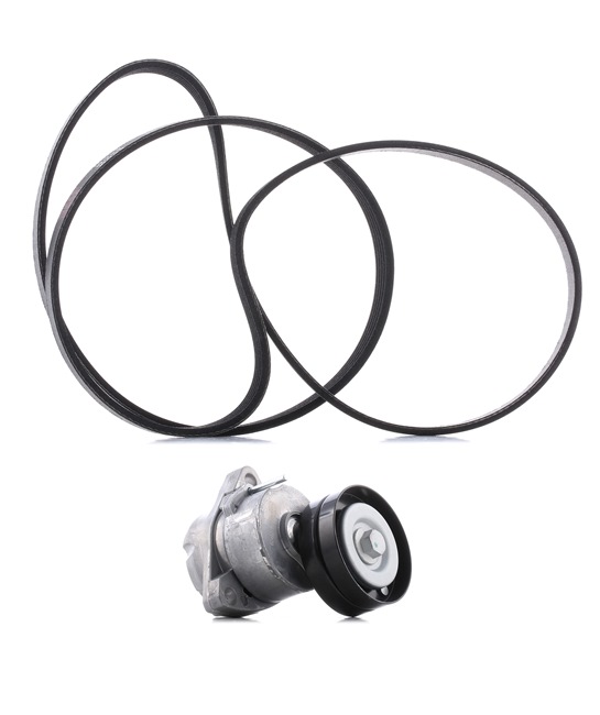 Drive Belt Kit RIDEX 542R0319P 542R0319P - photo 1