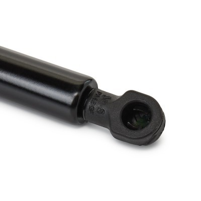 Bonnet  Gas Spring RIDEX 514G0105 514G0105 - photo 6