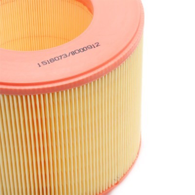 Air Filter RIDEX 8A0138 8A0138 - photo 5