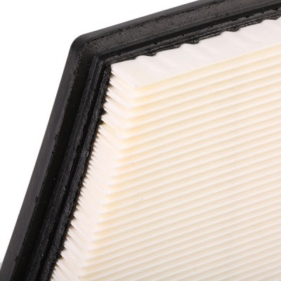 Air Filter RIDEX 8A0365 8A0365 - photo 5