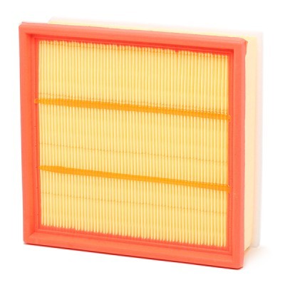 Air Filter RIDEX 8A0279 8A0279 - photo 3