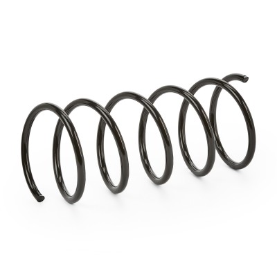 Suspension Spring RIDEX 188C0035 188C0035 - photo 6