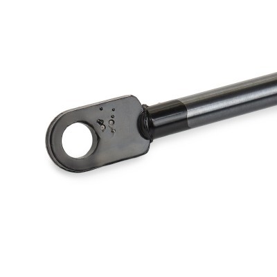 Bonnet  Gas Spring RIDEX 514G0113 514G0113 - photo 5